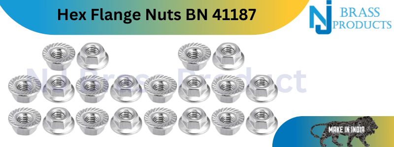 Hex Flange Nuts Bn 41187