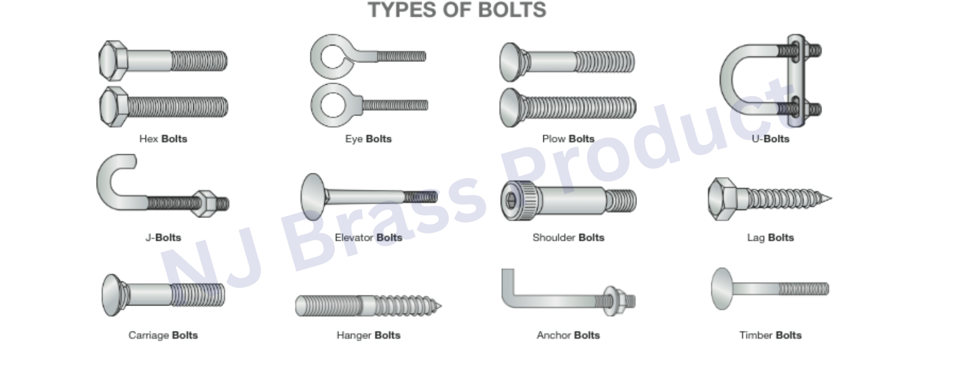 Type of Bolts
